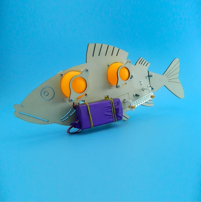 Build Your Own Underwater Robot And Other Wet Projects Wooden