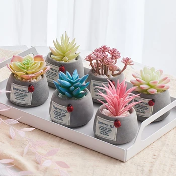 

Potted Succulents Plants Ceramics Mini Bonsai with Pots Cement Artificial Flower Fake Plants for Wedding Garden Home Decorative