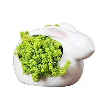 

White Ceramics Flower Pot Cartoon Rabbit Shape Succulent Plant Planter Home Garden Office Decoration
