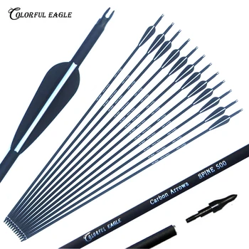 Archery 28/30/31 Inch Spine - 500 Carbon Arrows With Steel Point for Compound Recurve Bow Hunting Shooting 1