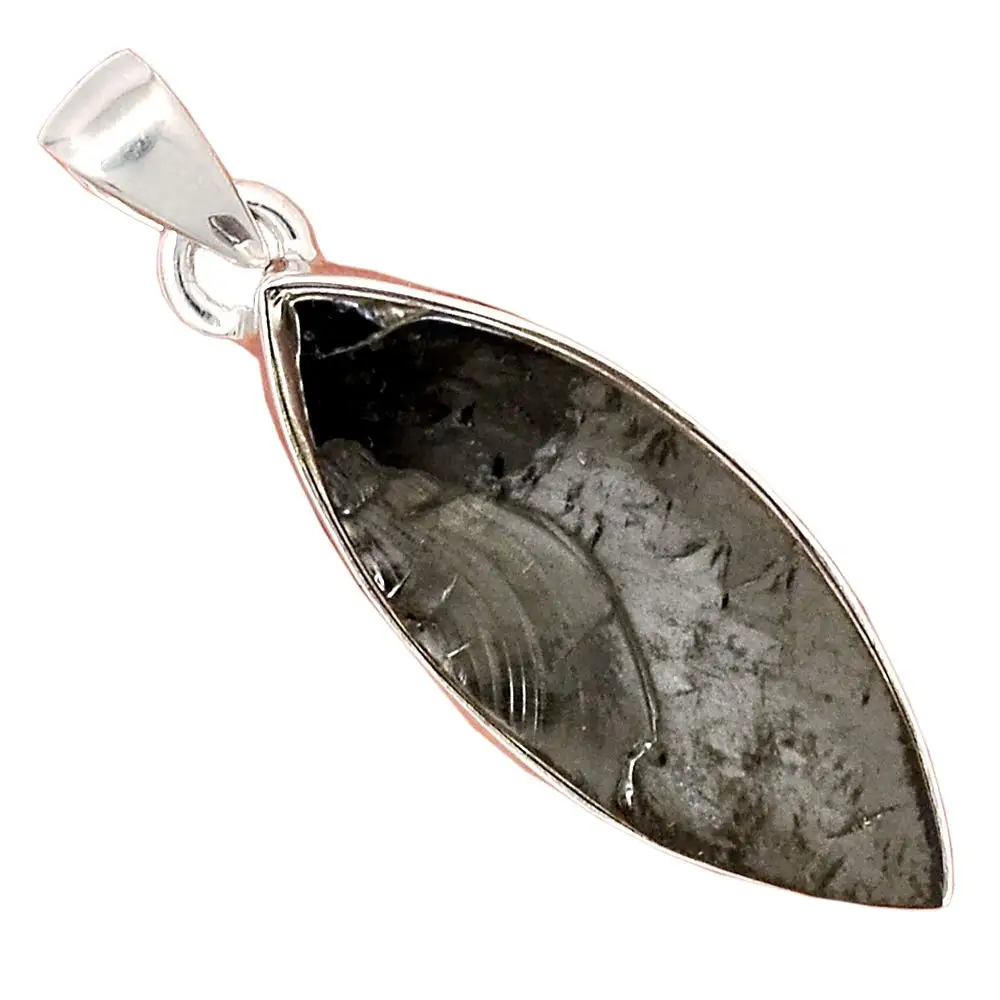 

Genuine SHUNGITE Pendant 925 Sterling Silver, 41.8 mm, AP6387