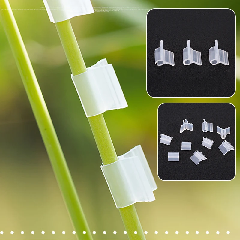 Pince semi-circulaire en acier inoxydable AISI-316L poli - Pièces De