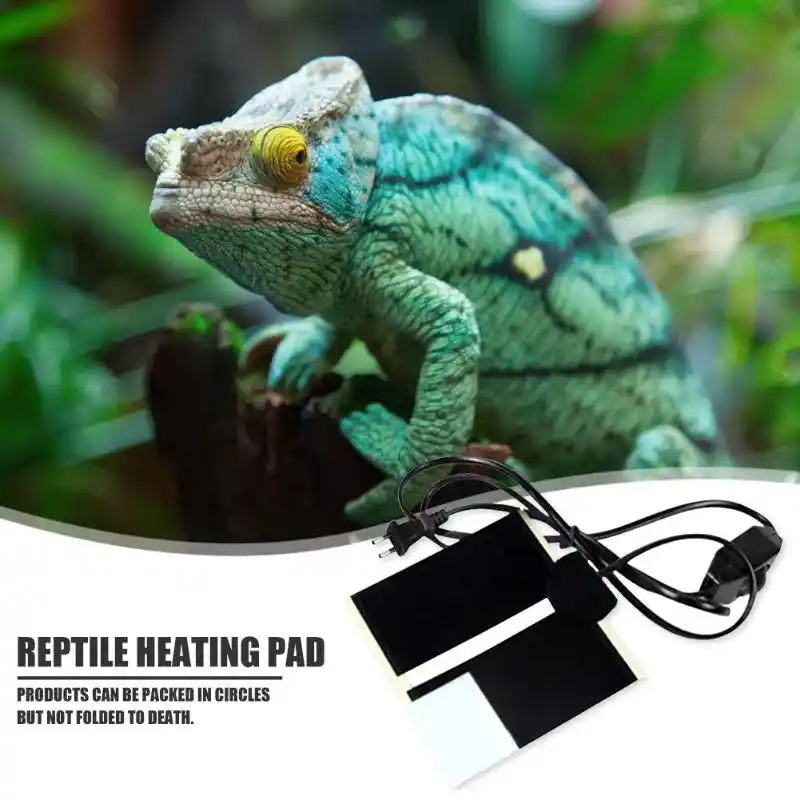 portable reptile heater