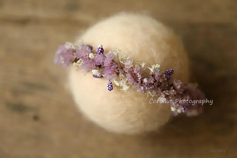 Рисунок 3 - Кокосовый реквизит для фотосъемки