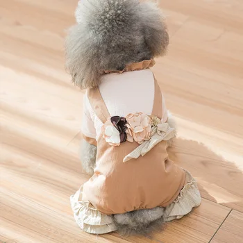 

double flares garment of four feet small dogs pet puppy dog coat more than bear trying to keep warm autumn and winter