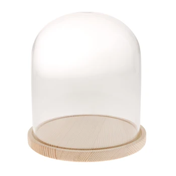 

Decorative Clear Glass Cloche Display Case with Wooden Base Home Décor