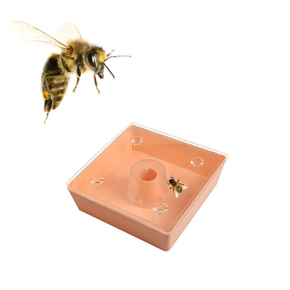 Details about   3pc Bee Feeder Drinking Fountain Waterer Drinker Feeder Plastic Beekeeping Tools 