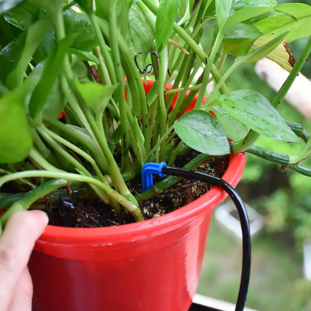 Greenhouse Garden 50PCS Bend Drip Arrow Dripper Micro Drip Irrigation Kit Emitter fit 3/5mm Hose Watering Saving Dripper Flowers 5