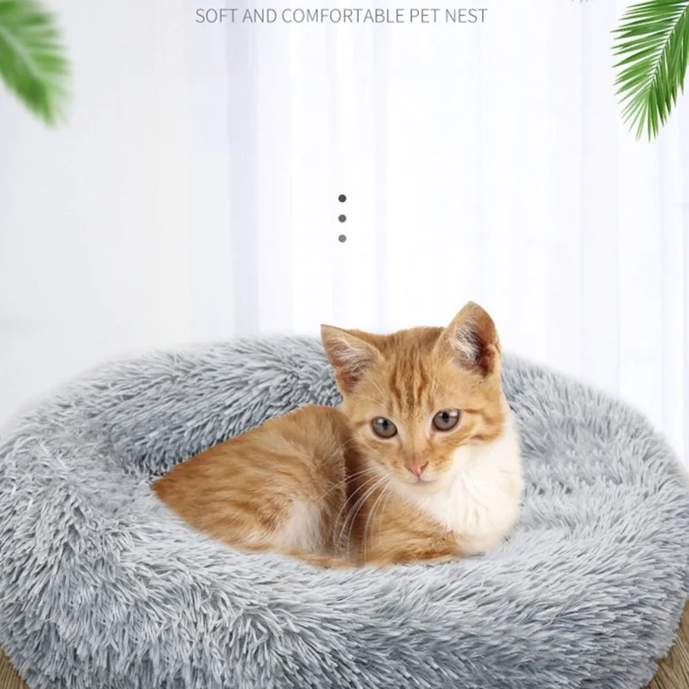 WJ479802-C-20101209-1