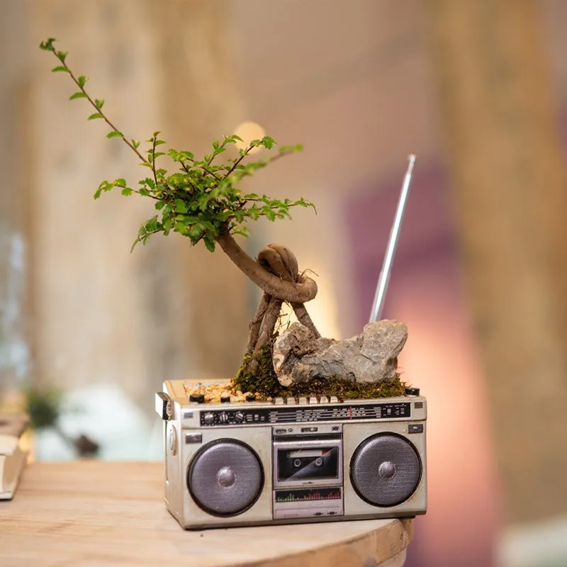

Creative Vintage Tape Recorder Succulent Flower Pots Decorative Garden Home Storage Crafts Office Decor Retro Flowerpot