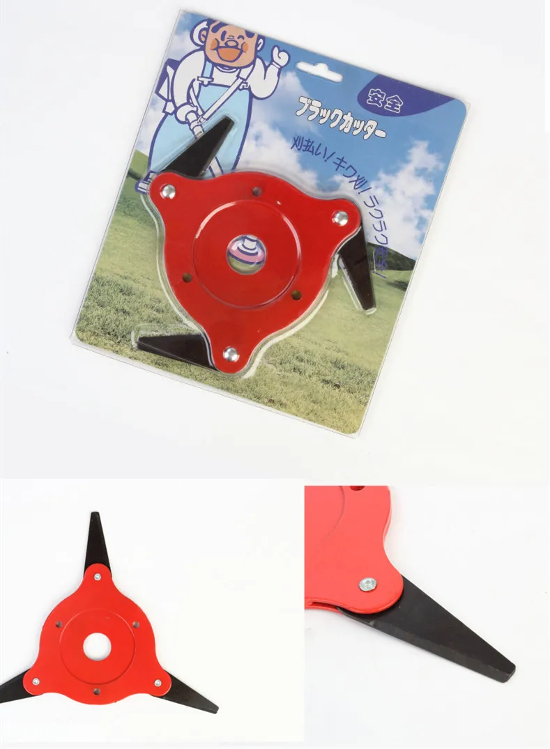 11850253456_297358734_副本2