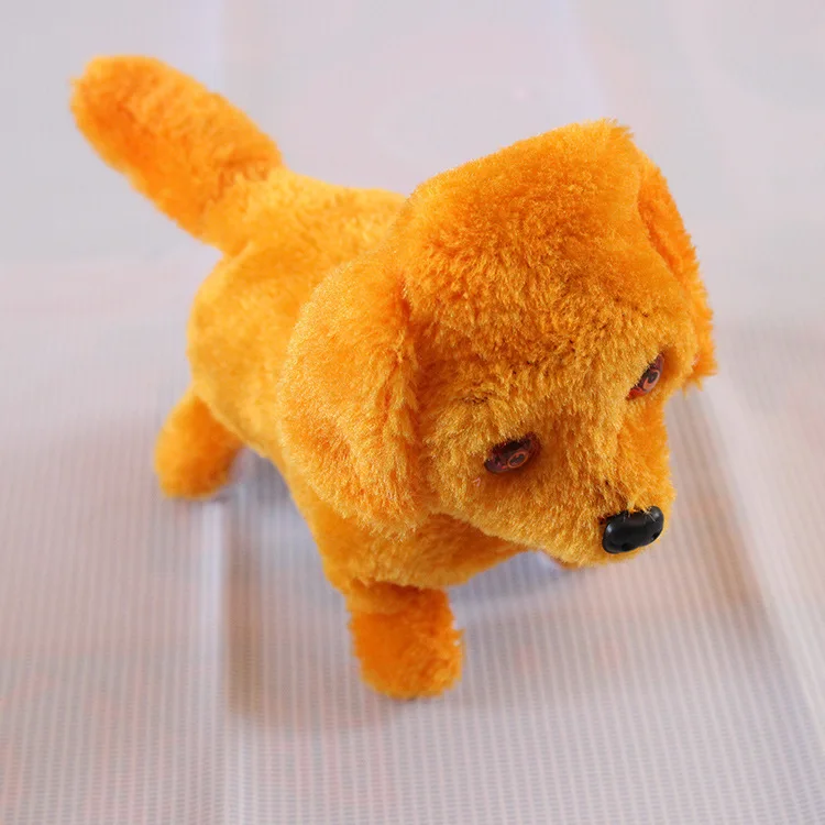 2861211304_748380050