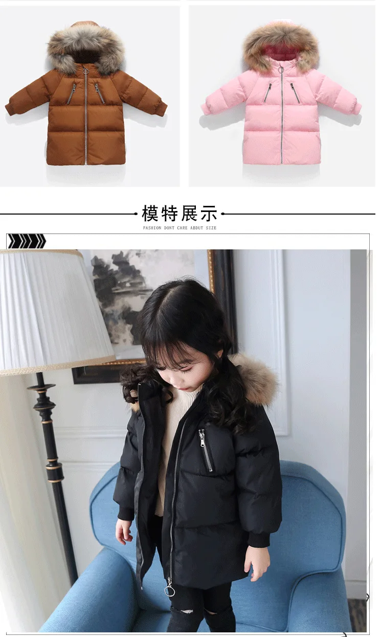 9592324523_1439383058