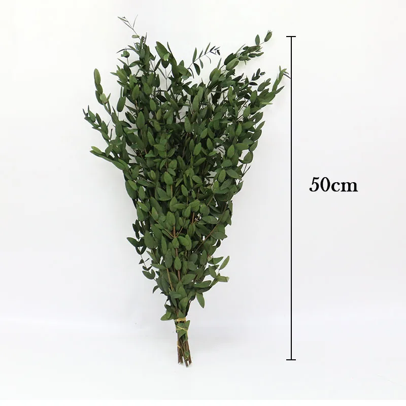 Natural air dry real touch dried flowers samll eucalyptus leaves wedding holiday family party home decoration