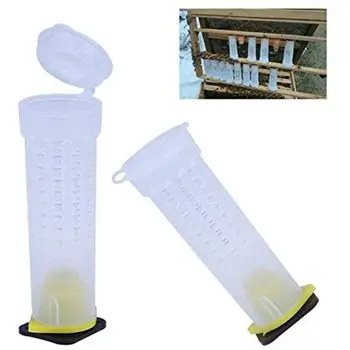 

21PCS/Set Beekeeping Tools Kit Queen Bee Incubator Grafting Needle Queen