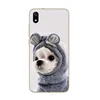 Phone Bags & Cases