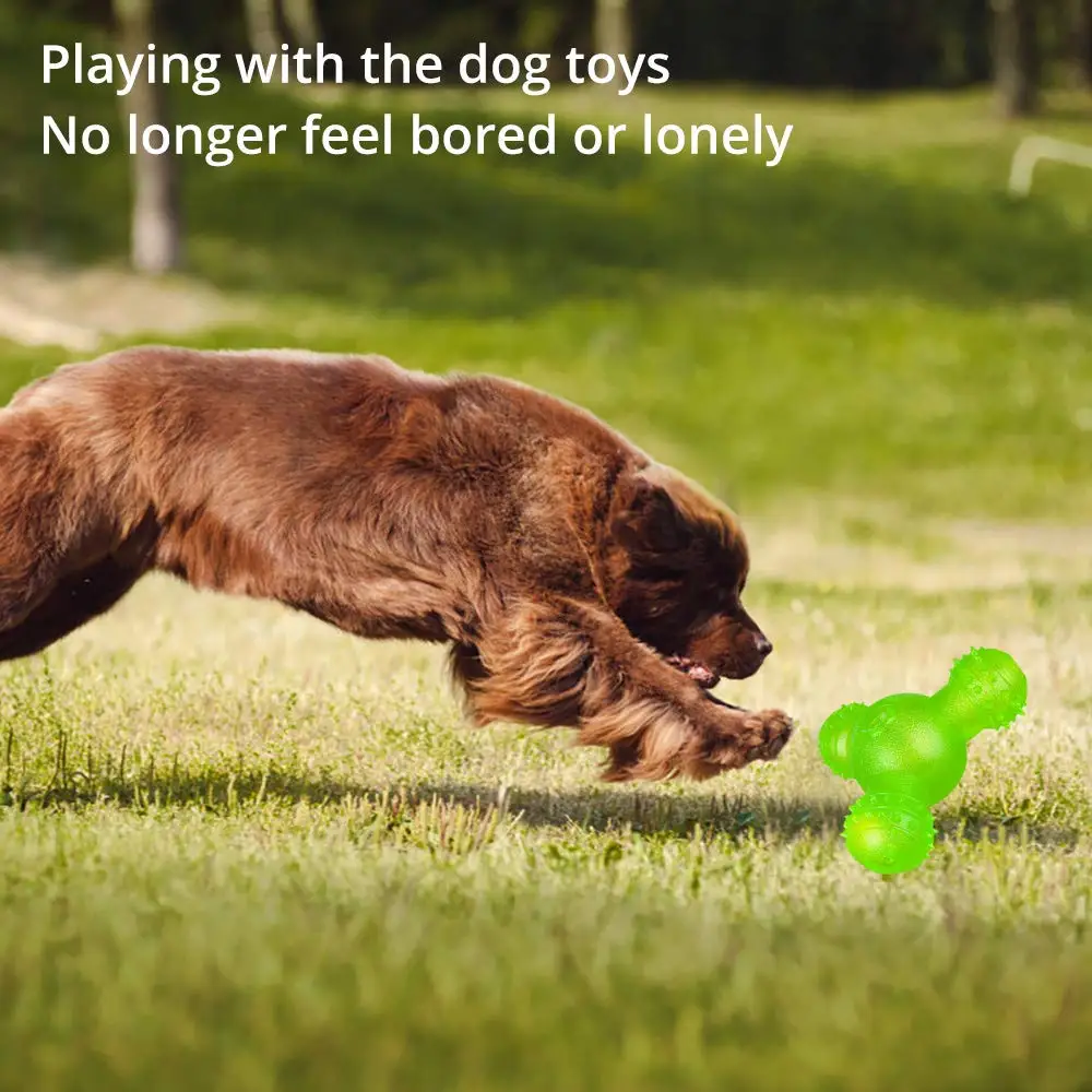 61AsF6pX%2BlL._SL1000_