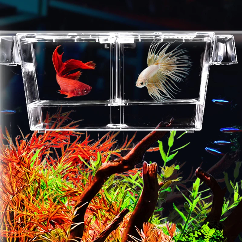 Acrylic Fish Tank Isolation Box Aquarium Accessories Breeding