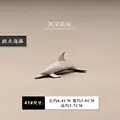 41 spotted dolphins