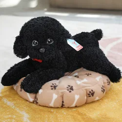 Realistic Teddy Dog Poodle Plush Toy - Perfect Holiday and Birthday Gift - 55cm (Black)