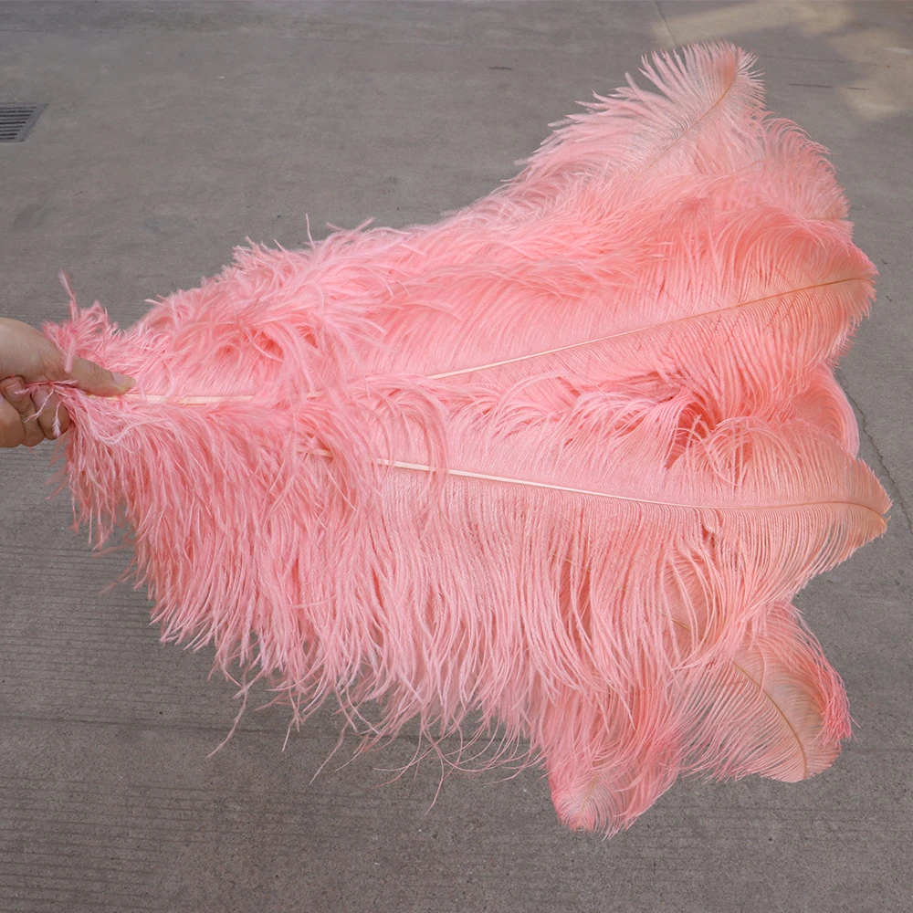 TS0165052 65-70cm ostrich feathers 2