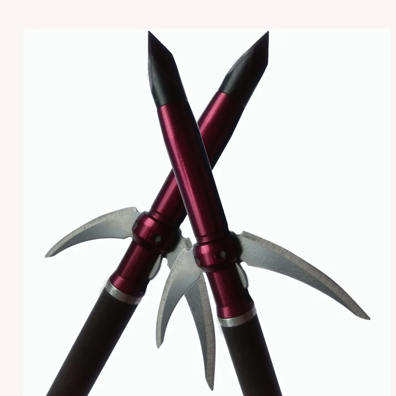 2537644529_1148519445 副本