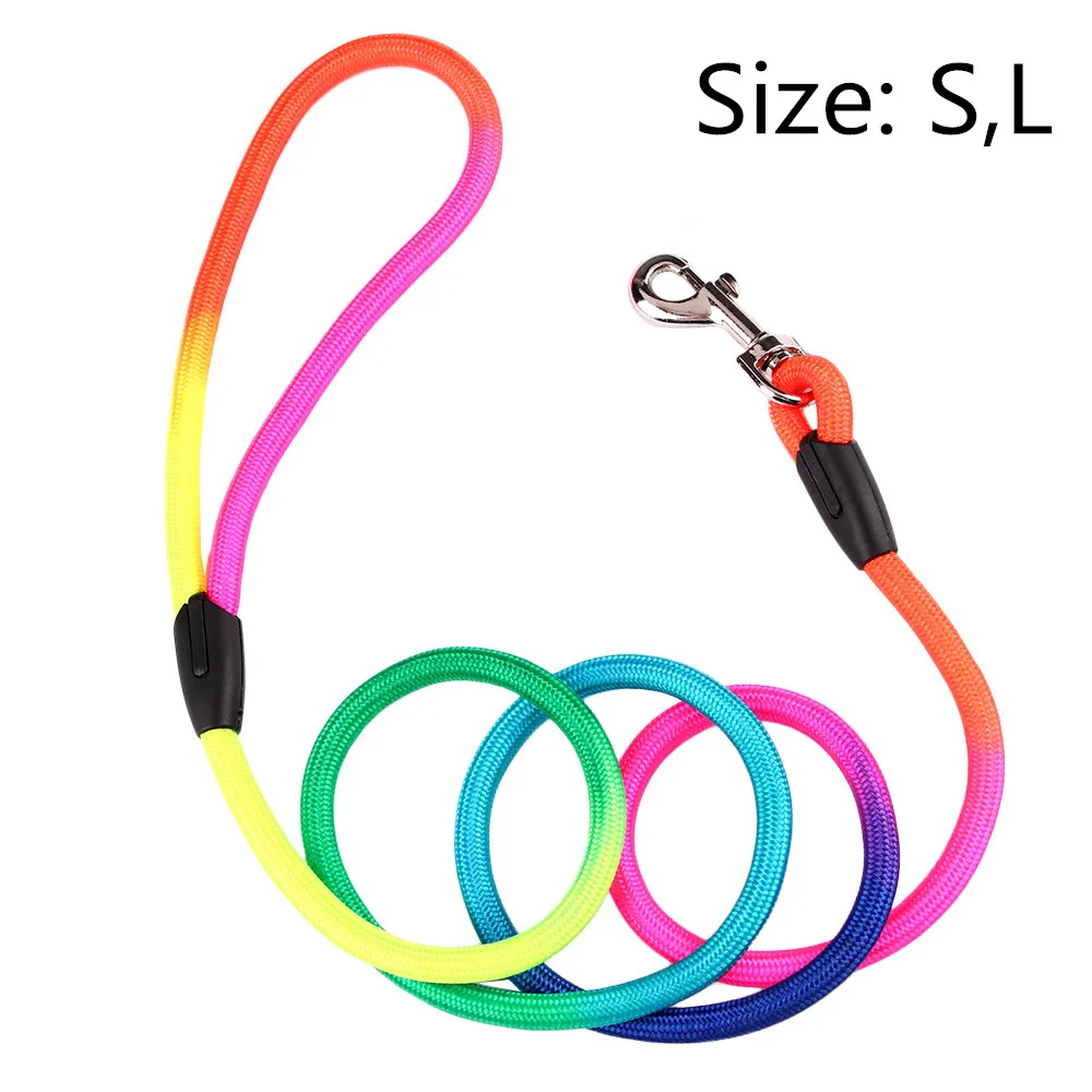 colorful dog leashes