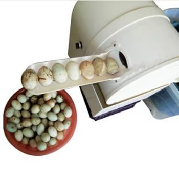

ABS environment-friendly plastic body brush washing egg machine/cleaning dirty duck eggs machine/poultry egg washer and cleaner