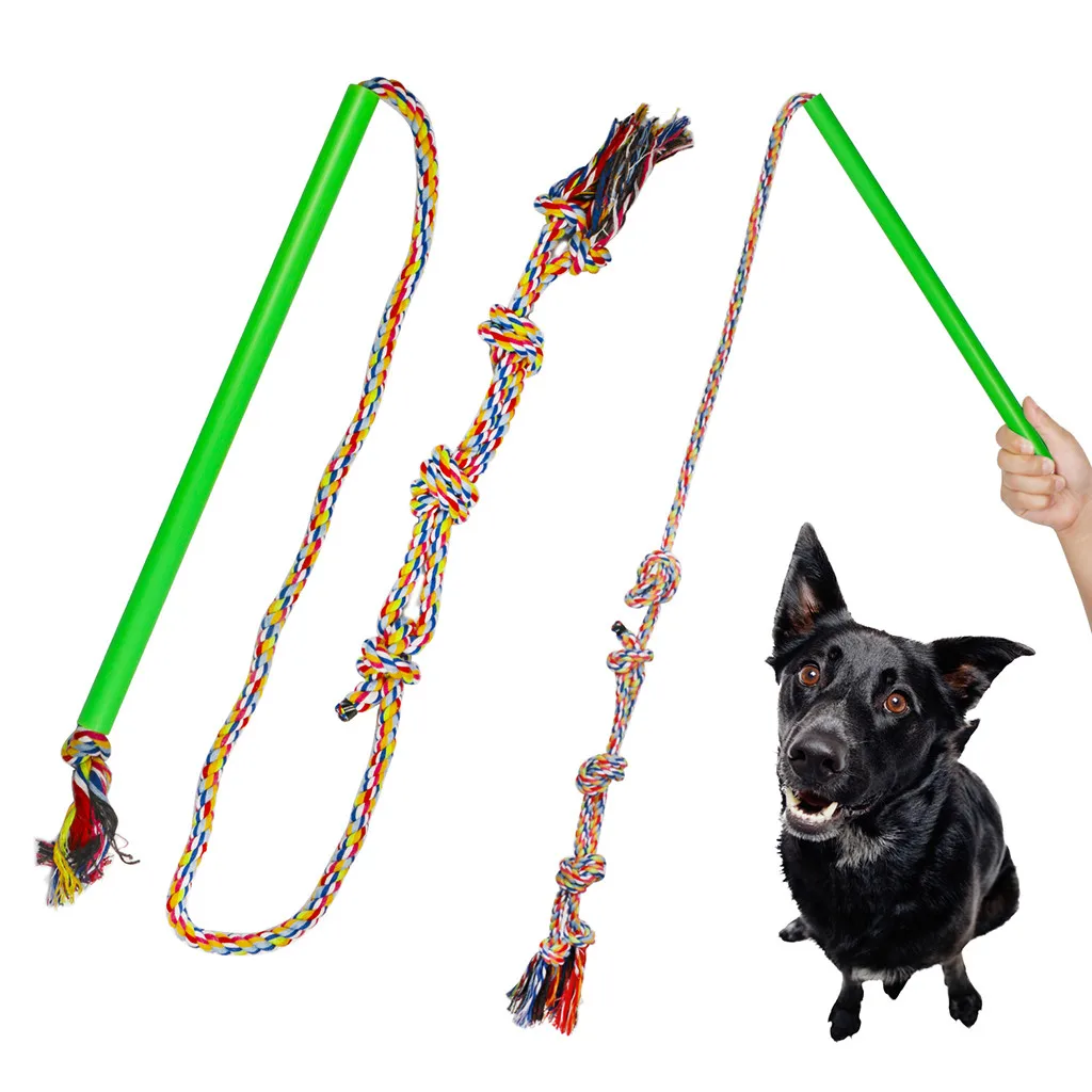 dog stick toy