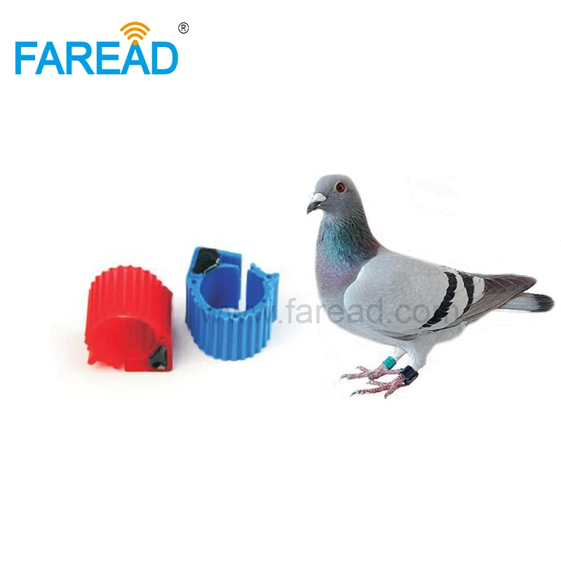 Free shipping x100pcs tag-S256 134.2KHz FDX-B ABS 9mm RFID racing pigeon Ring For for animal tracking | Безопасность и защита