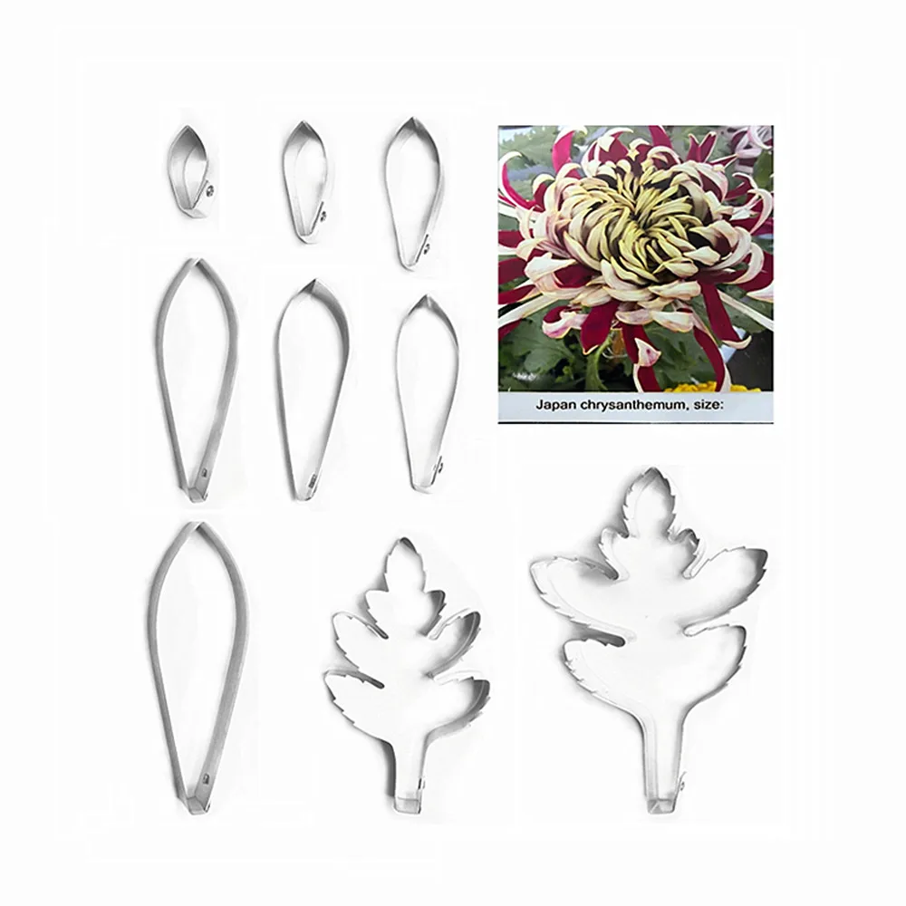 Japan chrysanthemum1