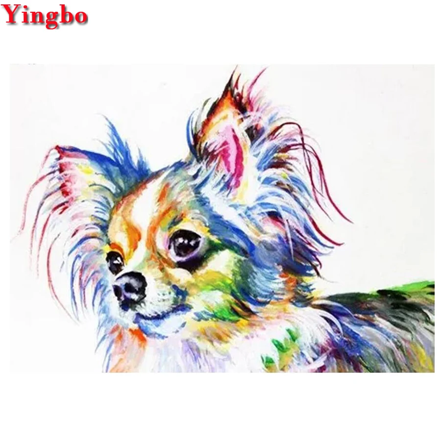 Картины по номерам чихуахуа на холсте