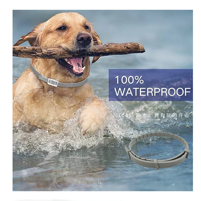 10759933316_1784203427