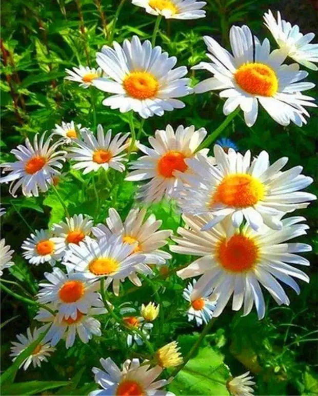 360截图20200509214224060