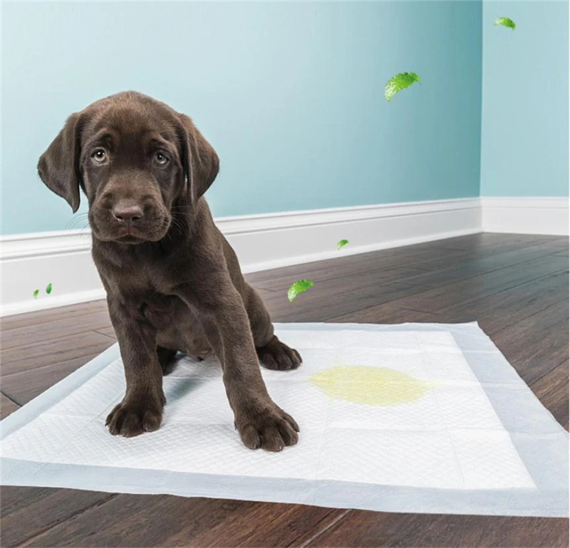 100/50/40/20PCS Super Absorbent Pet Diaper Dog Training Pee Pads Disposable Healthy Nappy Mat For Pet Dog Cats XL/L/M/S 4 Sizes