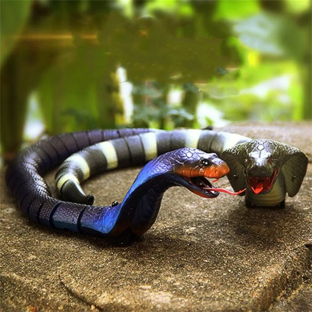 HM18702-C-20080405-1