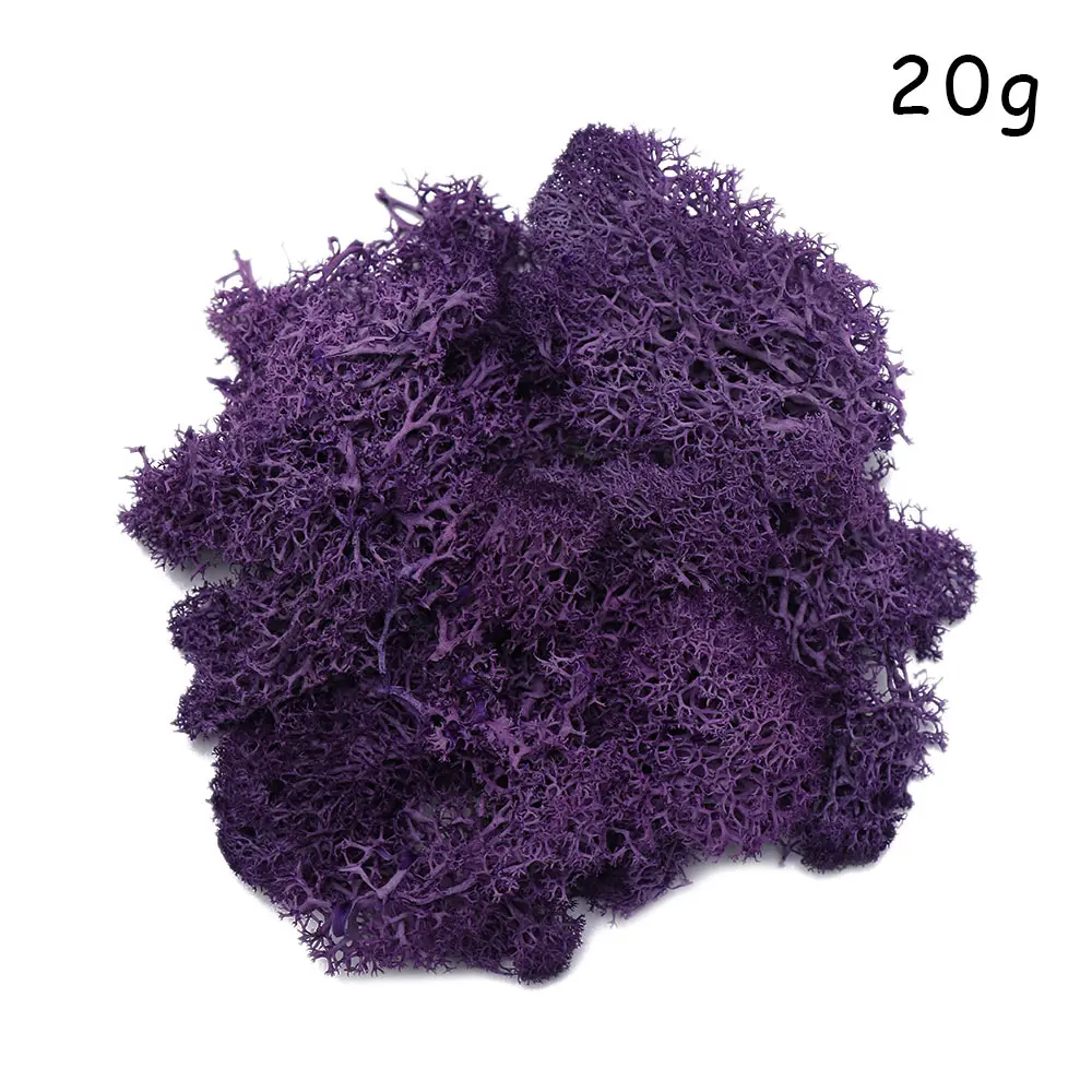 Микро пейзаж натуральный норвежский олень мох предварительно просушенный искусственный цветок Stamen Свадебные украшения DIY украшения дома - Цвет: Purple