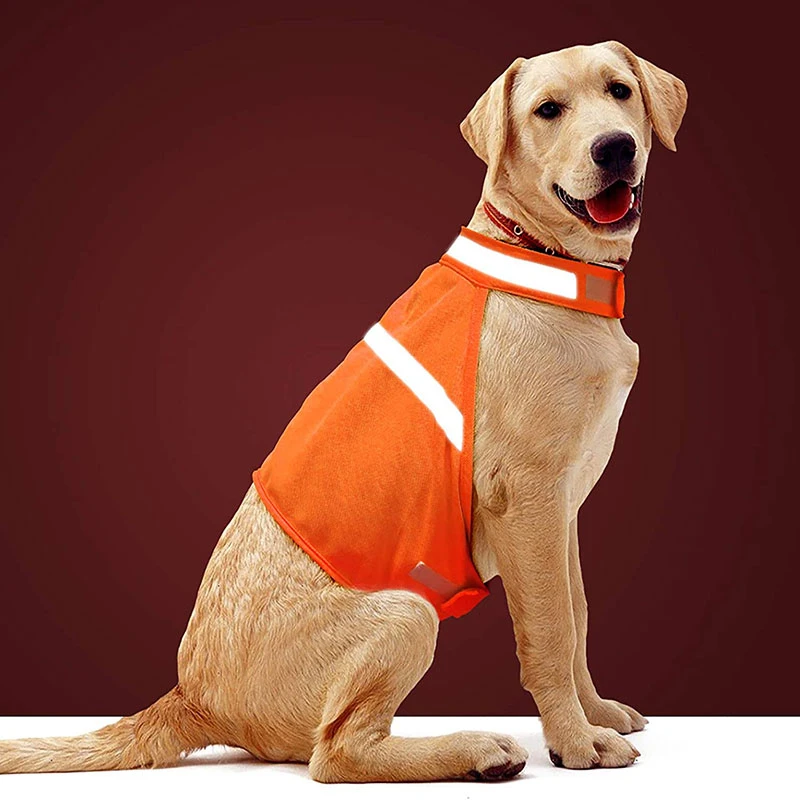Chaleco reflectante para perro, chaqueta de seguridad con correa ajustable de alta visibilidad, a su perro a ser visto y seguro en coches y accidentes de caza|Chalecos para perro| - AliExpress