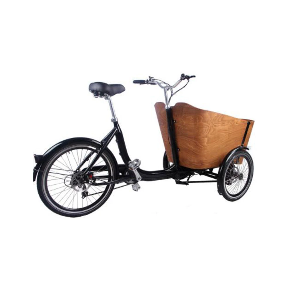 Electric Bicycle With Child Seat  three wheel bike for adults with child seat