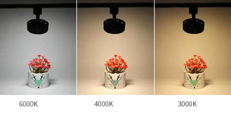 QQ截图20200508211446