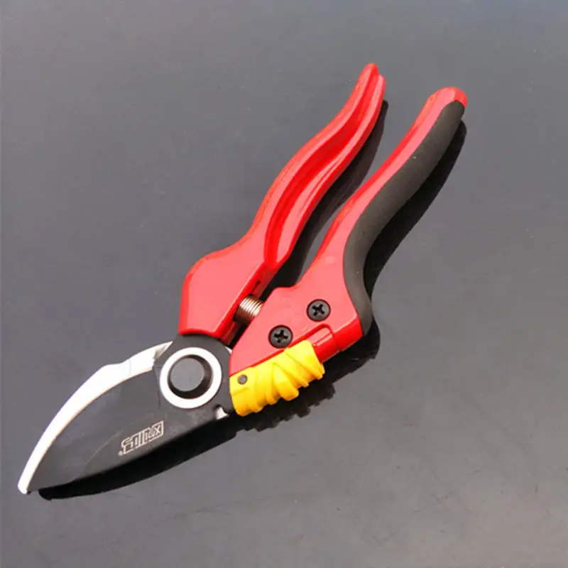 4292714229_1878238157