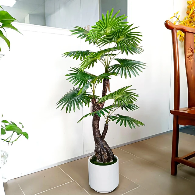 Planta Tropical de 160cm, palmera Artificial grande en maceta, árbol de  coco falso con maceta, hoja de Monstera para el suelo, decoración de la  habitación del jardín del hogar - AliExpress