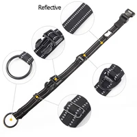 Reflective Padded Nylon Dog Collar & Leash