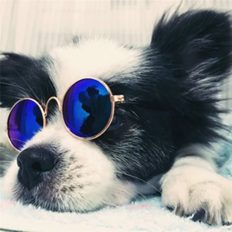 1 шт. милые кошачьи очки, собачьи очки, товары для домашних животных для маленьких собак, кошачий глаз, солнцезащитные очки для собак, фото, аксессуары в виде животных