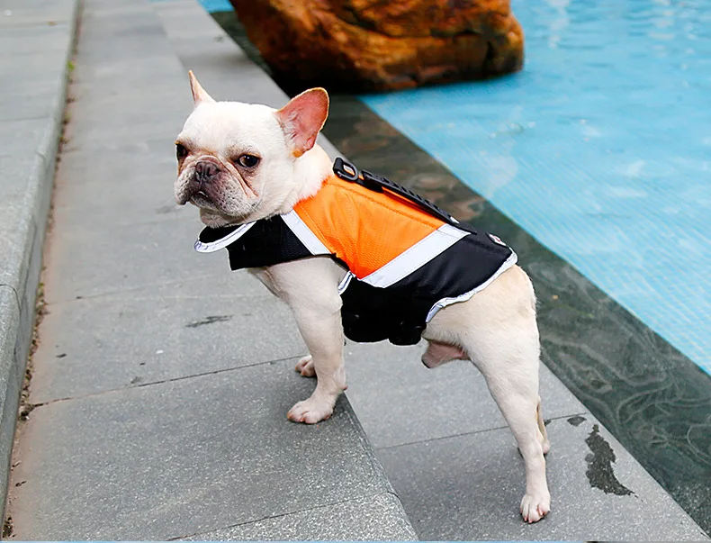 Doglemi летний спасательный жилет для питомцев в большой собаки жилет для плавания Amazon-одежда для домашних животных