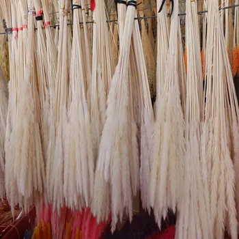 

Natural Dried Flower Pampas Grass Reed Home Decoration Gray Large Wedding Layout Corner Shop Display Window Decoration
