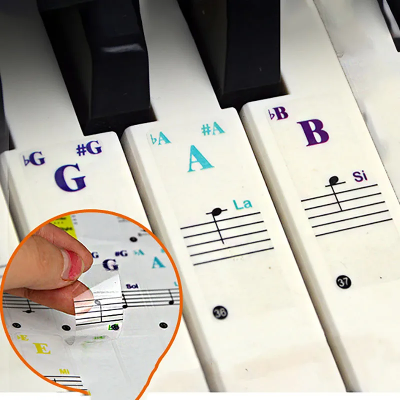 

Keyboard Sticker Transparent Piano 88/61/49/37 Key Electronic Keyboard Piano Sticker Piano Stave Note Sticker for White Keys
