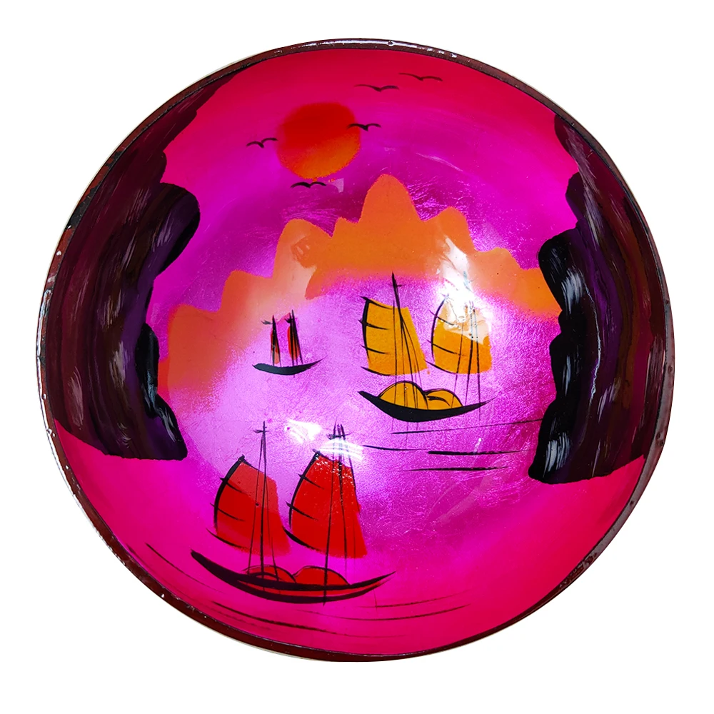 Hand Painted Coconut Bowls Shop The Veganary