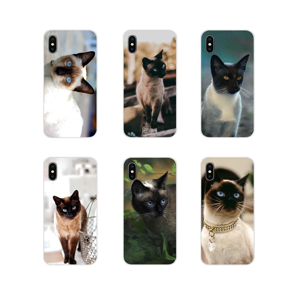 Синяя точка традиционные сиамская кошка для Apple iPhone X XR XS 11 12Pro MAX 4S 5S 5C SE 2020 6 S 7 8 Plus