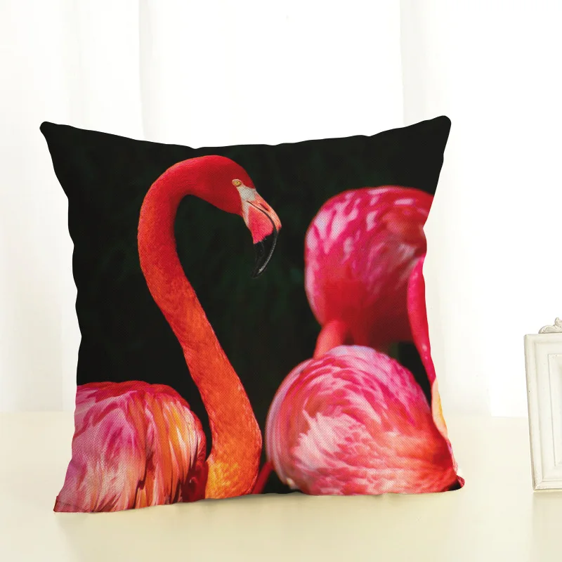 8832798275_1255064235